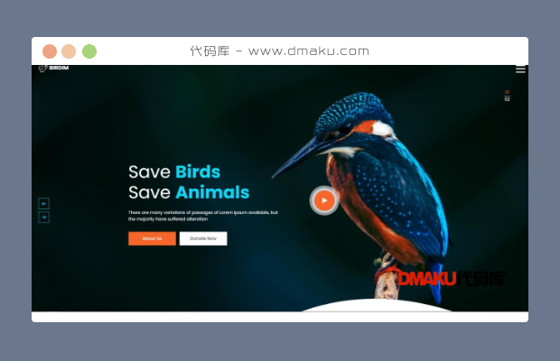 拯救鸟类拯救动物HTML5网站模板