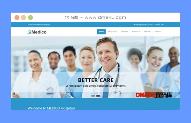 蓝色医疗团队网站模板