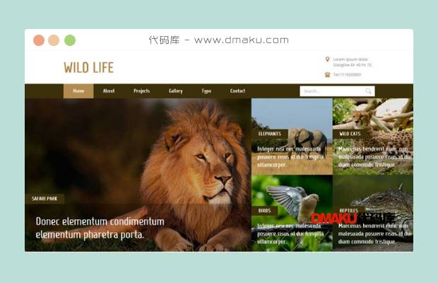 狮子动物园管理网站模板
