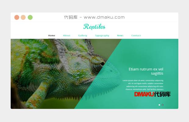 两栖动物展示网页模板