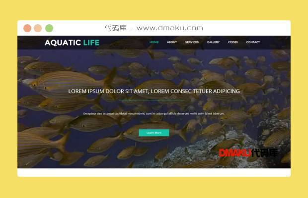 金鱼养殖加盟网站模板