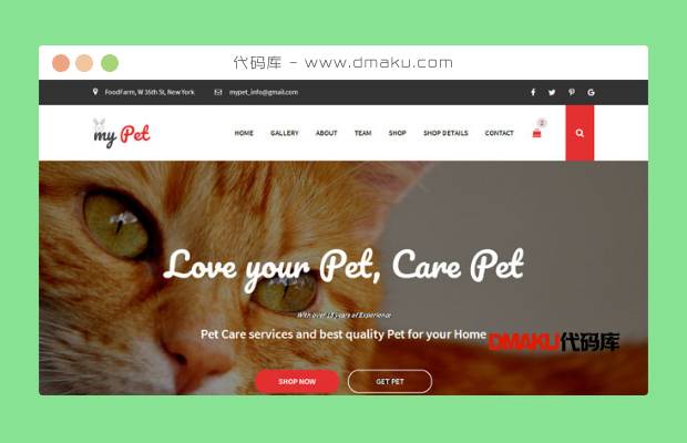 宠物猫商店电商网站模板