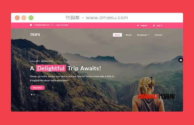 粉红色旅行结婚网站模板