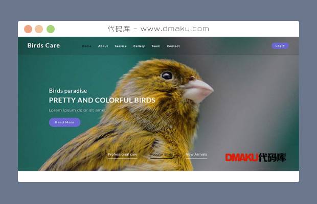 专业鸟类百科网站模板