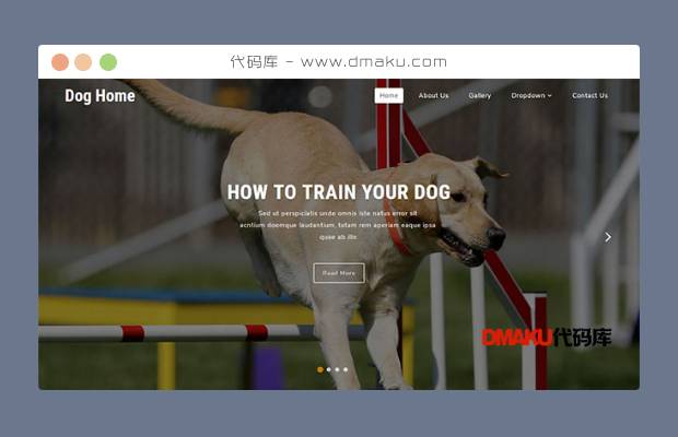 宠物狗训练学校网站模板
