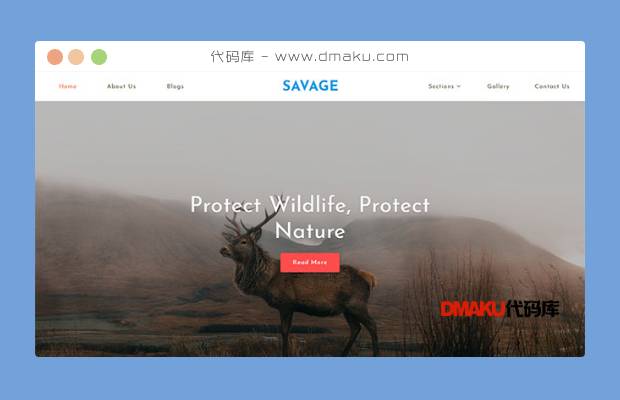 保护野生动物网站模板
