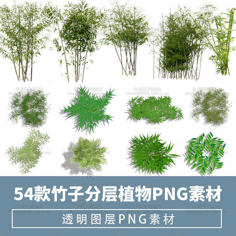 景观PS竹子平面立面分层植物素材剖面图效果图竹子高清透明PNG素材